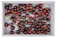 Poire-Botsi-small3
