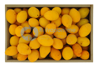 Poire-Botsi-small3