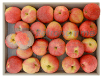 Poire-Botsi-small3
