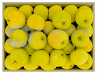 Poire-Botsi-small3