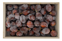Poire-Botsi-small3
