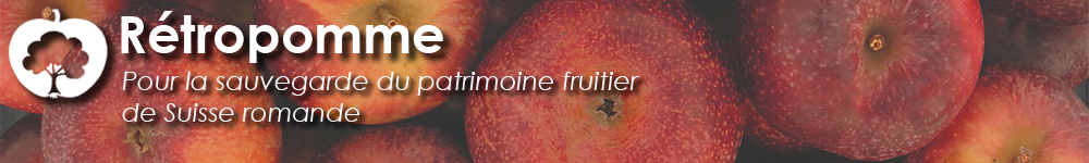 Rétropomme